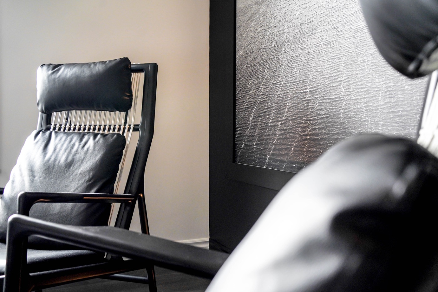 Fauteuil de cuir du salon